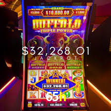 Apostas esportivas da 65h com odds competitivas